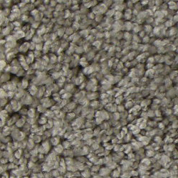 Carpet Factory Select Mobile Homes